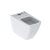 iCon Square Floor-Stading WC, For Close-Coupled Exposed Cistern, Back-To-Wall