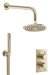 MPRO 2 Outlet, 2 Handle Shower Bundle-1