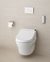 GL Washlet + MH Back-to-Wall WC Pan
