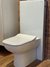 Villeroy & Boch Joyce Back-to-Wall Pan, Seat & Cover and Geberit Monolith Cistern Ex Display 50% Off-1